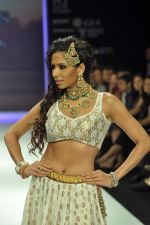 Model walks the ramp for Vijay Golecha Jewels Show at IIJW Day 2 on 20th Aug 2012 (8).JPG
