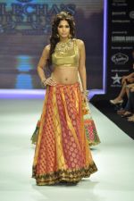 Model walks the ramp for Vijay Golecha Jewels Show at IIJW Day 2 on 20th Aug 2012 (9).JPG