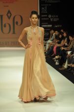 Model walks the ramp for preeti Jewels Show at IIJW Day 2 on 20th Aug 2012 (2).JPG