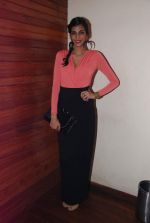 Anushka Manchanda at Mohomed and Lucky Morani Anniversary - Eid Party in Escobar on 21st Aug 2012 (120).JPG