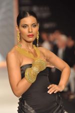 Model walks the ramp for Anand Shah Show at IIJW Day 3 on 21st Aug 2012 (22).JPG