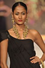 Model walks the ramp for Anand Shah Show at IIJW Day 3 on 21st Aug 2012 (29).JPG
