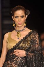 Model walks the ramp for Kays Jewel Show at IIJW Day 3 on 21st Aug 2012 (15).JPG