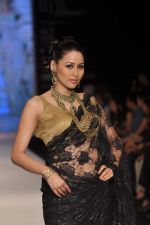 Model walks the ramp for Kays Jewel Show at IIJW Day 3 on 21st Aug 2012 (42).JPG