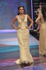 Model walks the ramp for YS 18 Show at IIJW Day 3 on 21st Aug 2012 (138).JPG