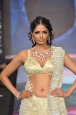 Model walks the ramp for YS 18 Show at IIJW Day 3 on 21st Aug 2012 (149).JPG