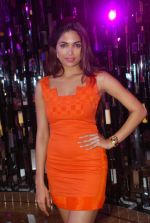 parvathy Omanakuttan at IIJW Day 3 on 21st Aug 2012,1 (169).JPG