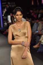 Model walks the ramp for Jewels Emporium Show at IIJW Day 4 on 22nd Aug 2012 (62).JPG