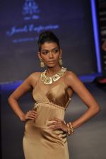 Model walks the ramp for Jewels Emporium Show at IIJW Day 4 on 22nd Aug 2012 (69).JPG
