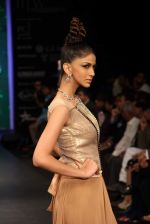 Model walks the ramp for KGK Entice Pvt.Ltd Show at IIJW Day 4 on 22nd Aug 2012 (184).JPG