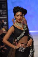 Model walks the ramp for Kashi Jeweller Show at IIJW Day 4 on 22nd Aug 2012 (174).JPG