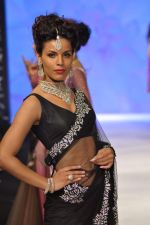 Model walks the ramp for Kashi Jeweller Show at IIJW Day 4 on 22nd Aug 2012 (175).JPG