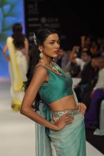 Model walks the ramp for Kashi Jeweller Show at IIJW Day 4 on 22nd Aug 2012 (223).JPG