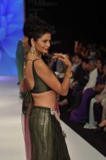Model walks the ramp for Kashi Jeweller Show at IIJW Day 4 on 22nd Aug 2012 (231).JPG