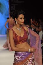Model walks the ramp for Kashi Jeweller Show at IIJW Day 4 on 22nd Aug 2012 (243).JPG