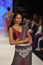 Model walks the ramp for Kashi Jeweller Show at IIJW Day 4 on 22nd Aug 2012 (246).JPG
