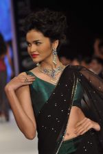 Model walks the ramp for Kashi Jeweller Show at IIJW Day 4 on 22nd Aug 2012 (248).JPG