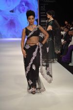 Model walks the ramp for Kashi Jeweller Show at IIJW Day 4 on 22nd Aug 2012 (251).JPG