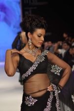 Model walks the ramp for Kashi Jeweller Show at IIJW Day 4 on 22nd Aug 2012 (253).JPG