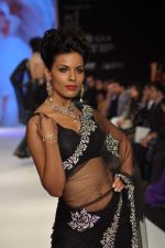 Model walks the ramp for Kashi Jeweller Show at IIJW Day 4 on 22nd Aug 2012 (254).JPG