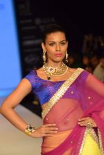 Model walks the ramp for Kriplani & Sons Show at IIJW Day 4 on 22nd Aug 2012 (60).JPG