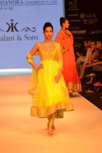 Model walks the ramp for Kriplani & Sons Show at IIJW Day 4 on 22nd Aug 2012 (66).JPG