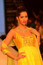 Model walks the ramp for Kriplani & Sons Show at IIJW Day 4 on 22nd Aug 2012 (68).JPG