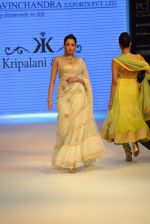 Model walks the ramp for Kriplani & Sons Show at IIJW Day 4 on 22nd Aug 2012 (69).JPG
