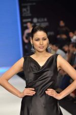 Model walks the ramp for Manish Khatter Show at IIJW Day 4 on 22nd Aug 2012 (18).JPG