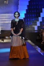 Sonam Kapoor walks the ramp for PC Jeweller Show at IIJW Day 5 Grand Finale on 23rd Aug 2012 (83).JPG