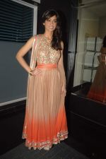Ileana D_Cruz on the sets of Indian Idol in Filmcity, Mumbai on 31st Aug 2012 (128).JPG