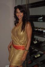 Sandhya Shetty at model Mausami Badra_s birthday bash in Vie Lounge on 6th Sept 2012 (63).JPG