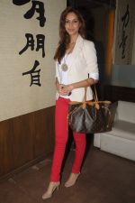 at model Mausami Badra_s birthday bash in Vie Lounge on 6th Sept 2012 (47).JPG