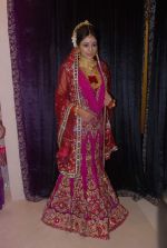 at Archana Kocchar dresses Sita for the serial Ramayan on 8th Sept 2012 (62).JPG