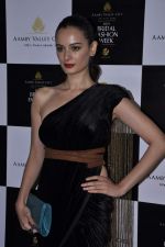 Evelyn Sharma on Day 2 of Aamby Valley India Bridal Fashion Week 2012 in Mumbai on 13th Sept 2012 (22).JPG