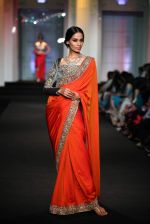Model walk the ramp for Ashima leena show at Aamby Valley India Bridal Fashion Week 2012 in Mumbai on 14th Sept 2012 (224).JPG