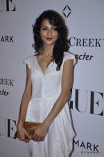 at Vogue_s 5th Anniversary bash in Trident, Mumbai on 22nd Sept 2012 (77).JPG