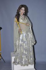 Laila Khan_s dandia photo shoot on 27th Sept 2012 (6).JPG