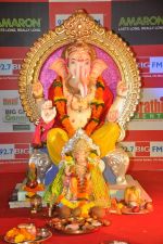 Rajpal Yadav visits Ganesha in Oberoi Mall, Mumbai on 27th Sept 2012 (10).JPG