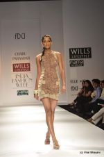 Model walk the ramp for Charu Parashar Show at Wills Lifestyle India Fashion Week 2012 day 5 on 10th Oct 2012 (47).JPG