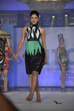at IITC fashion show in Leela Hotel on 13th Oct 2012 (2).JPG