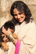 Sonakshi Sinha in Son of Sardaar (3).jpg