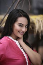 Sonakshi Sinha in Son of Sardaar (5).jpg