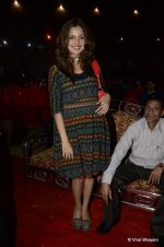 at ITA Awards red carpet in Mumbai on 4th Nov 2012 (237).JPG