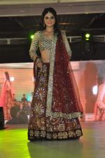 Model walk the ramp at Umeed-Ek Koshish charitable fashion show in Leela hotel on 9th Nov 2012,1 (63).JPG