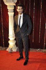 at Zee Rishtey Awards in Mumbai on 10th Nov 2012 (2).JPG