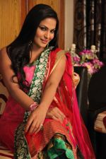 Veena Malik Celebrating Diwali on 14th Nov 2012 (6).jpg