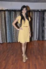 at Splendour collection launch hosted by Nisha Jamwal in Mumbai on 27th Nov 2012 (120).JPG