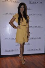 at Splendour collection launch hosted by Nisha Jamwal in Mumbai on 27th Nov 2012 (123).JPG