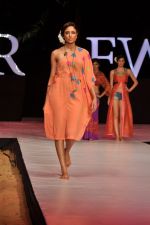 Model walk the ramp for Anupama Dayal Show at IRFW 2012 Day 1 in Goa on 28th Nov 2012 (102).JPG